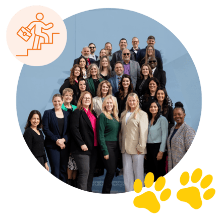 Group photo of the Taylion leadership and staff team standing on stairs, with an orange icon of a person climbing steps and two yellow paw prints, inside a light blue-toned circular background.